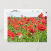 Poppies Postkarte (Vorne/Hinten)