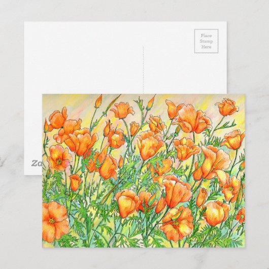 Poppies Postkarte (Vorne/Hinten)