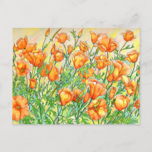 Poppies Postkarte