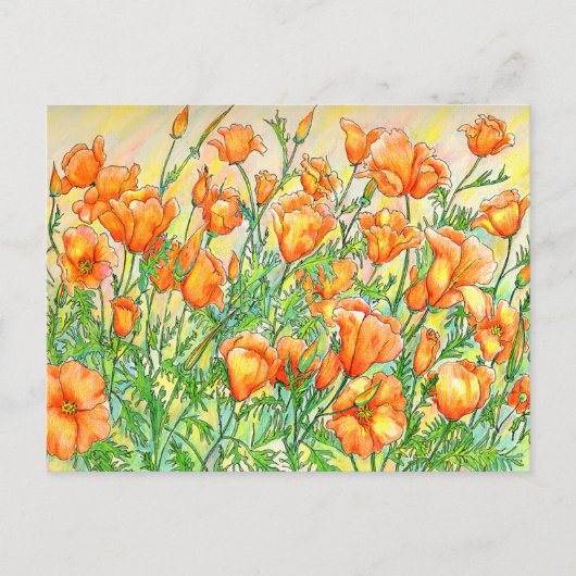 Poppies Postkarte (Vorderseite)