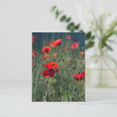 Poppies Postkarte (Stehend Vorderseite)