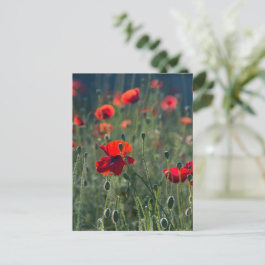 Poppies Postkarte (Stehend Vorderseite)
