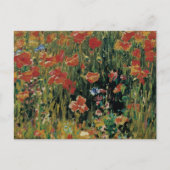 Poppies Postkarte (Vorderseite)