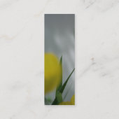 Poppies & Shades 4 Mini Visitenkarte (Rückseite)