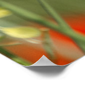 Poppies-Wächter Poster (Ecke)