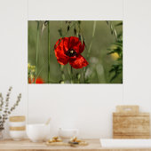 Poppies-Wächter Poster (Küche)
