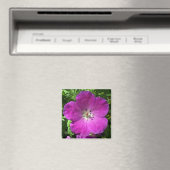 Poppin Pink Magnet (In Situ (Geschirrspüler))