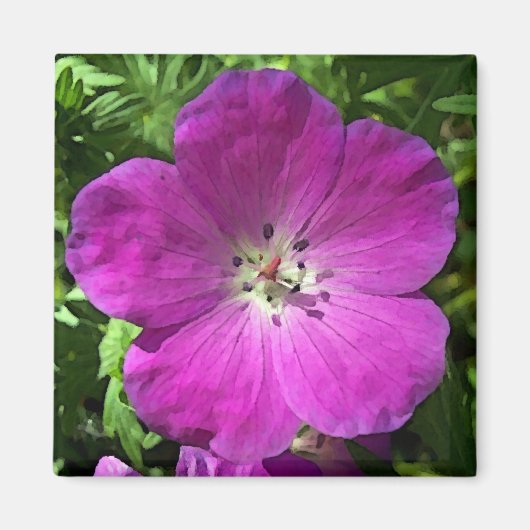 Poppin Pink Magnet (Vorne)