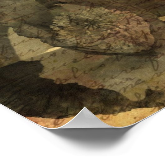 Poppy 3 poster (Ecke)