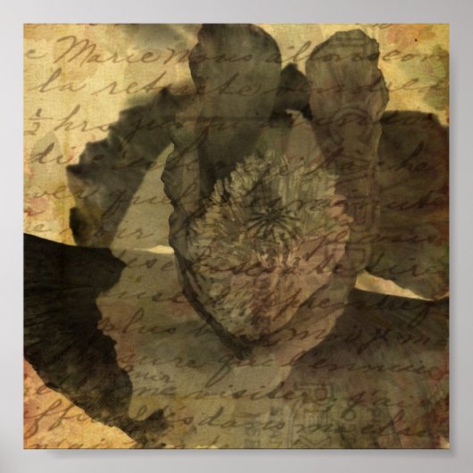 Poppy 3 poster (Vorne)