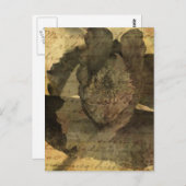 Poppy 3 postkarte (Vorne/Hinten)