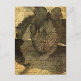 Poppy 3 postkarte