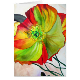 Poppy Art Makro-Mohn