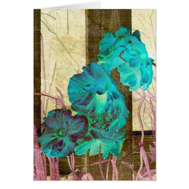 Poppy Beautiful (Vorne)