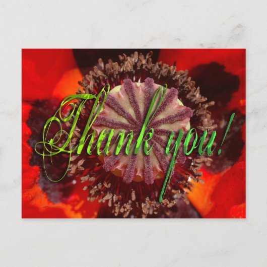 Poppy Blossom - Danke Postkarte (Vorderseite)