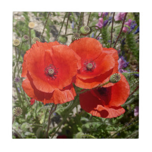 POPPY-BLUME FLIESE