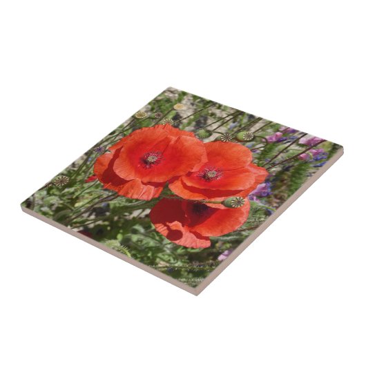 POPPY-BLUME FLIESE (Seite)