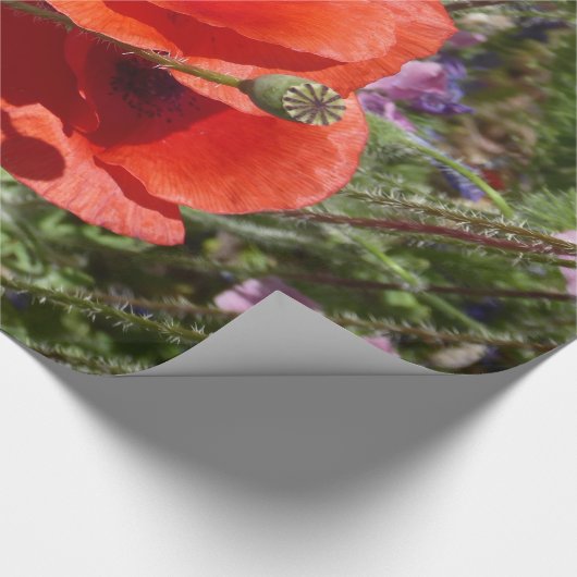 POPPY-BLUME GESCHENKPAPIER (Ecke)