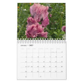 Poppy-Blume Kalender (Jan 2027)