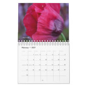 Poppy-Blume Kalender (Feb 2027)