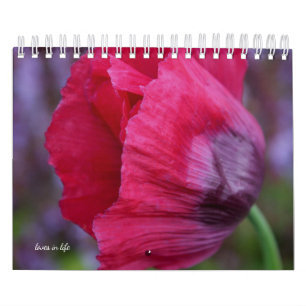 Poppy-Blume Kalender