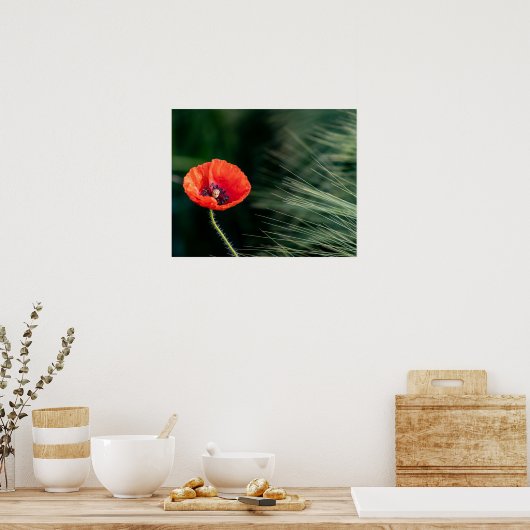 Poppy Blume Poster (Küche)
