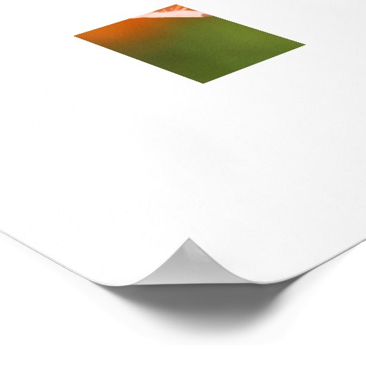 Poppy Blume Poster (Ecke)