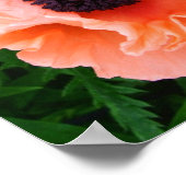 Poppy Blume Poster Print (Ecke)