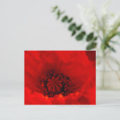 Poppy-Blume Postkarte (Stehend Vorderseite)
