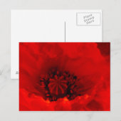 Poppy-Blume Postkarte (Vorne/Hinten)