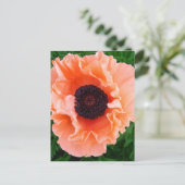 Poppy-Blume-Postkarte Postkarte (Stehend Vorderseite)