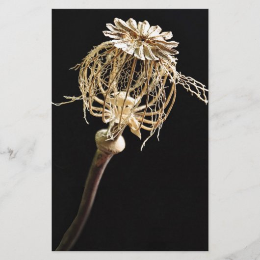 Poppy Briefpapier (Vorderseite)