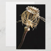 Poppy Briefpapier (Vorne/Hinten)