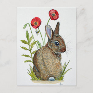 'Poppy Bunny' Postkarte