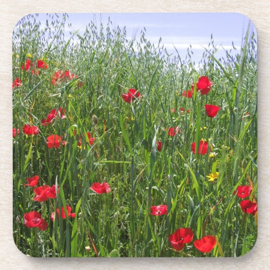 Poppy Coasters Untersetzer (Vorderseite)