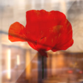 POPPY Collection 06 Square 12"x12" WC Fensteraufkleber (Blatt 2)