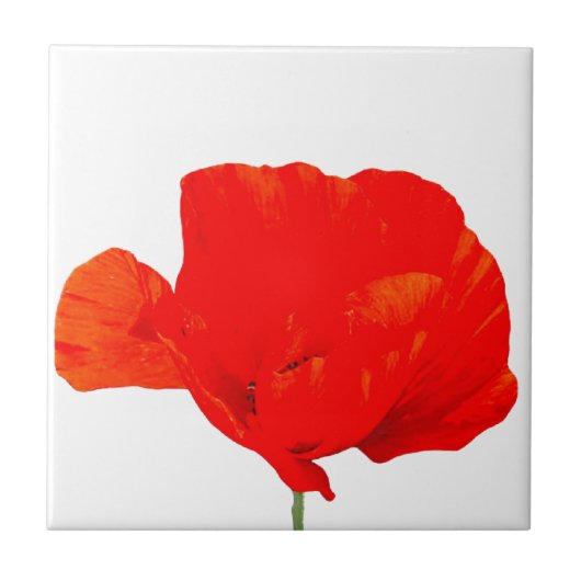 POPPY Collection 06 Tile Fliese (Vorderseite)