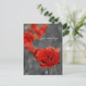 Poppy Comet Postkarte (Stehend Vorderseite)