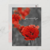Poppy Comet Postkarte (Vorne/Hinten)