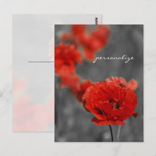 Poppy Comet Postkarte (Vorne/Hinten)