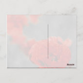 Poppy Comet Postkarte (Rückseite)