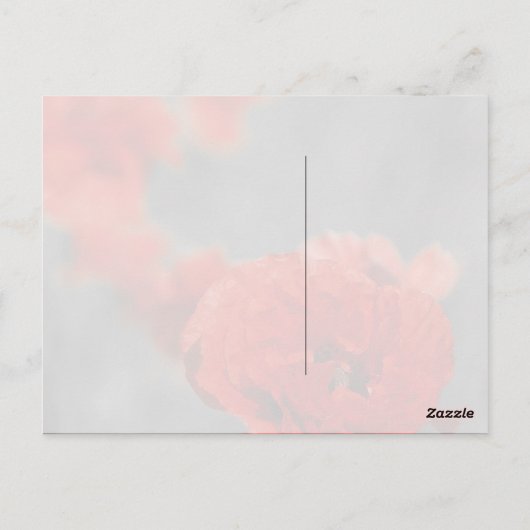 Poppy Comet Postkarte (Rückseite)