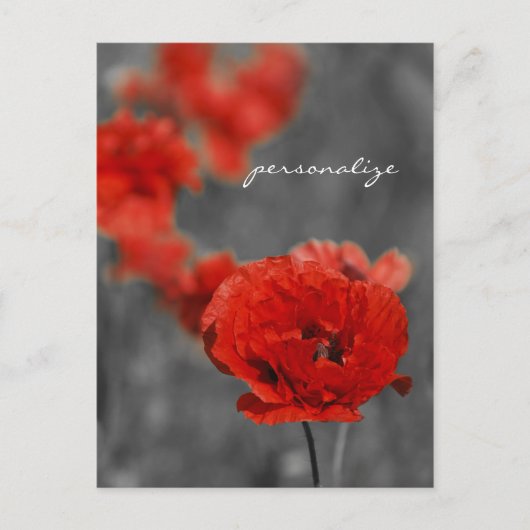 Poppy Comet Postkarte (Vorderseite)