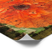 Poppy Crackle Poster (Ecke)