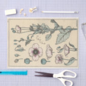 Poppy, die Botany-Serie von Eugene Grasset Seidenpapier (Handwerk)