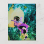 Poppy Fairy Postkarte (Vorderseite)