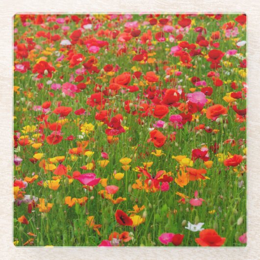 Poppy Field Glass Untersetzer (Vorderseite)