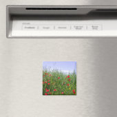 Poppy Field Magnet (In Situ (Geschirrspüler))