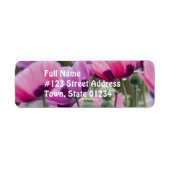 Poppy Field-Mailing-Label (Vorne)