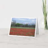 Poppy Field Mountain Landscape Card Karte (Vorderseite)